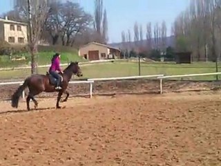 trotteur qui saute
