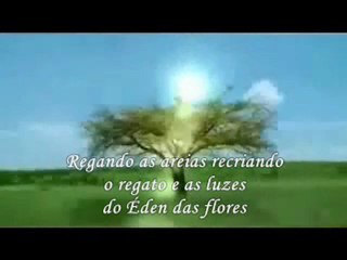 Malu Aires -  Sob o Sol