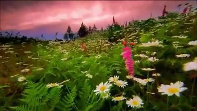 Somewhere in my dream's... Sentimental Piano Storie's Album) Patrick Stafford & Ste-Mary's Orchestra.HD1080p.(Studio Montreal)