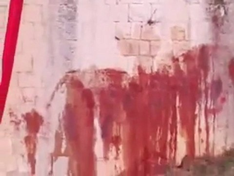 فري برس حماة المحتلة حي الضاهرية اهالي الحي يصبغون مياه نهر العاصي بلون الدم احياء لذكرى المجزرة و صبغ ناعورة الحي