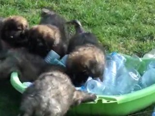 Portée H le 24 mars 2012