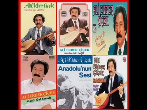 Ali Ekber ÇİÇEK BU GÜN BEN BİR GÜZEL GÖRDÜM