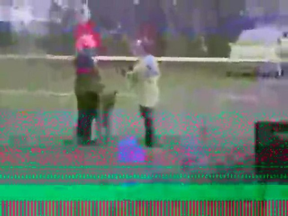 SUNP0006