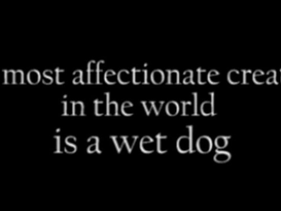The most affectionate creature in the world