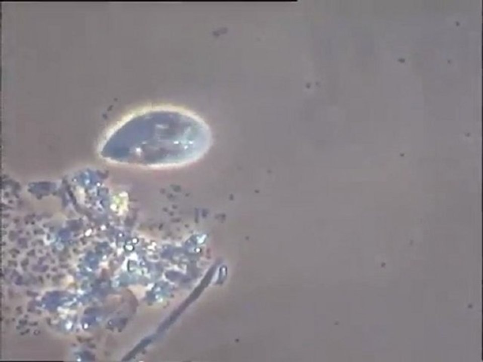 Images de cristallisation après évaporation d'un échantillon d'effluent vinicole