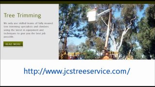 Looking professional Austin Tree Services,Austin Tree Trimming & Tree Removal
