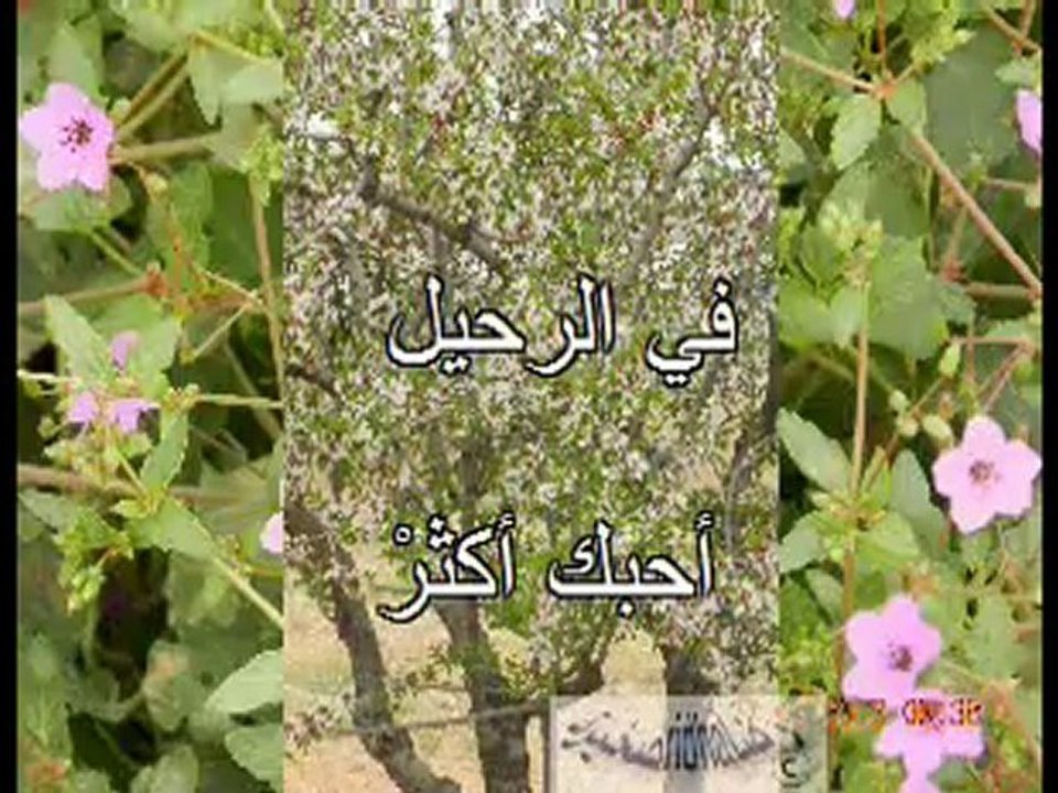 skhira, darwich في الرحيل الكبير - محمود درويش