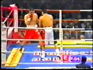 Dariusz Michalczewski vs. Joey DeGrandis