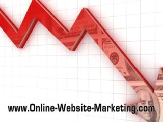 Professional Search Engine Optimization - Google Places SEO