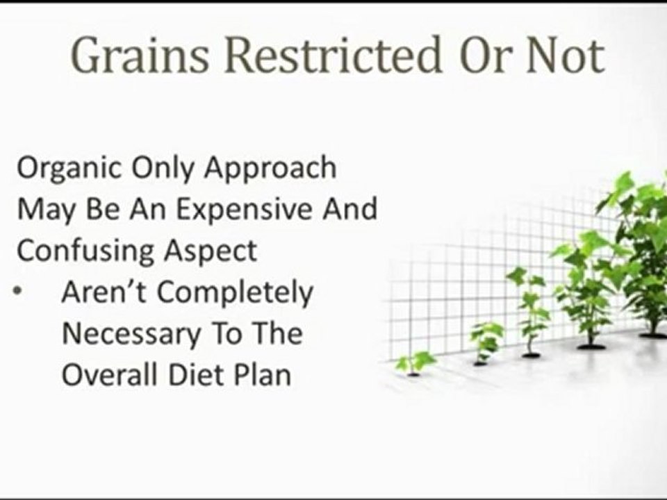 Diet solution program review part 2