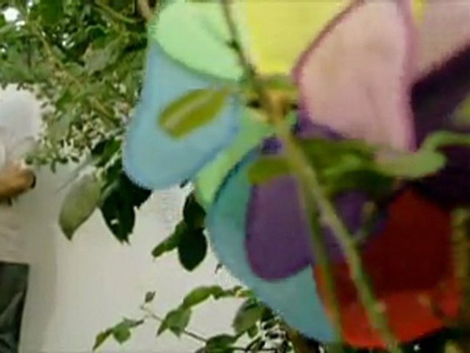 Kıvırcık Ali - Yaralarım