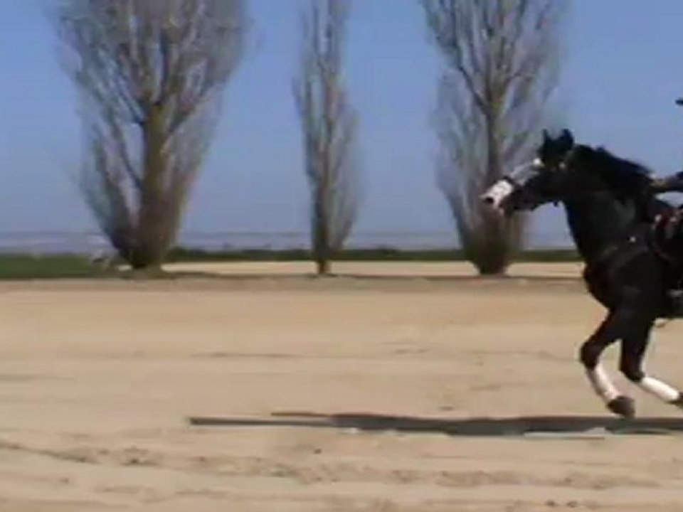 Entraiment Fay 27 Mars 2012.5