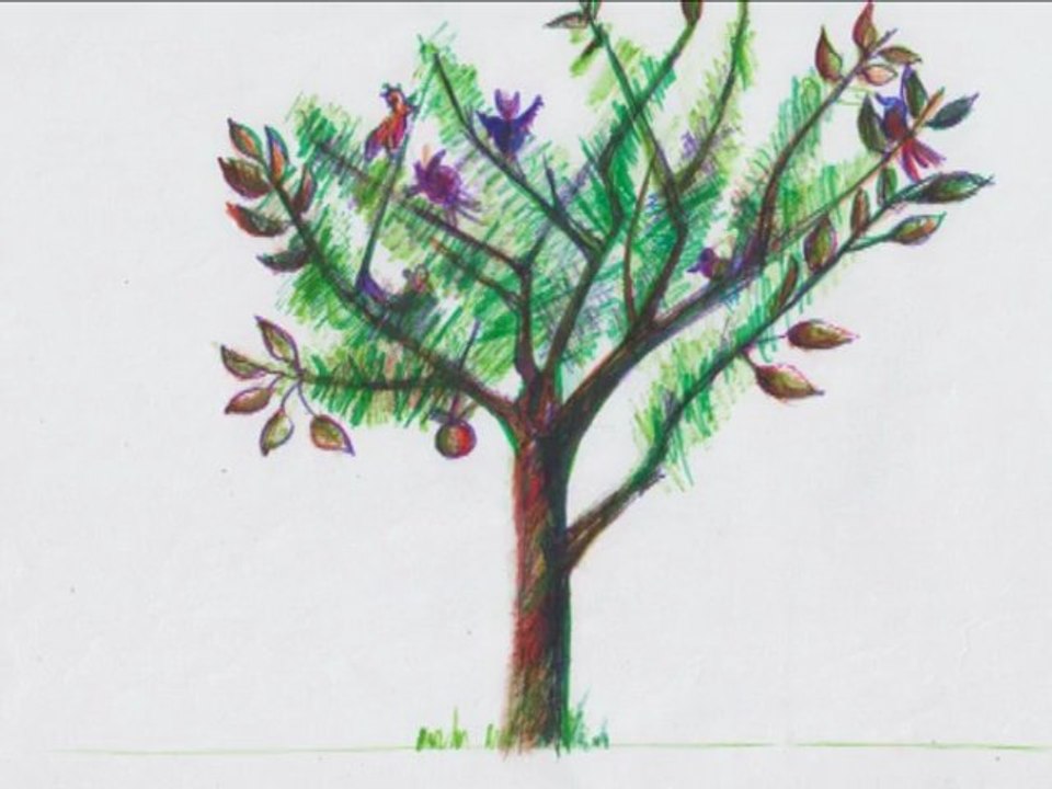1000et1arbres