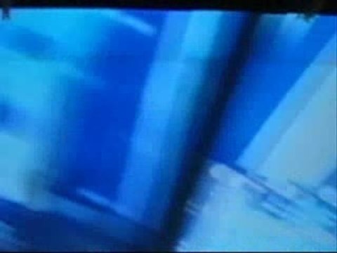 florence foresti aka Segolene royal