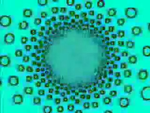 Magento ECommerce Web Developer