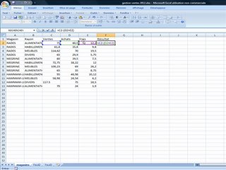 Saisie, enregistrement et calculs simples