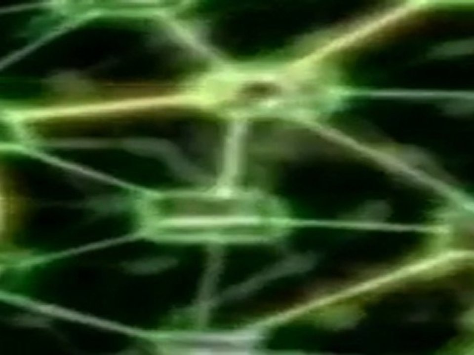 Nuclear holocaust by livevolution