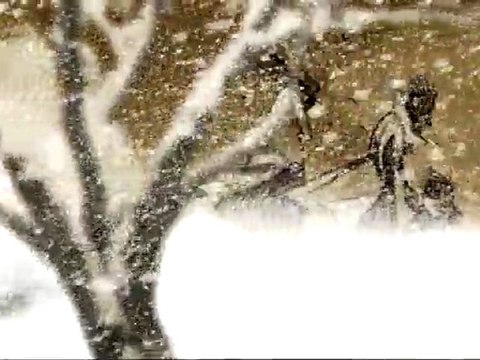 Nazan Öncel - Hatırına Sustum