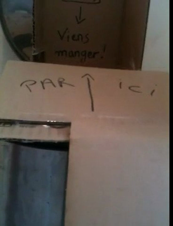 piege rat