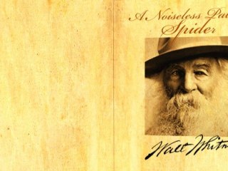"A Noiseless Patient Spider" by Walt Whitman (Poetry Reading)