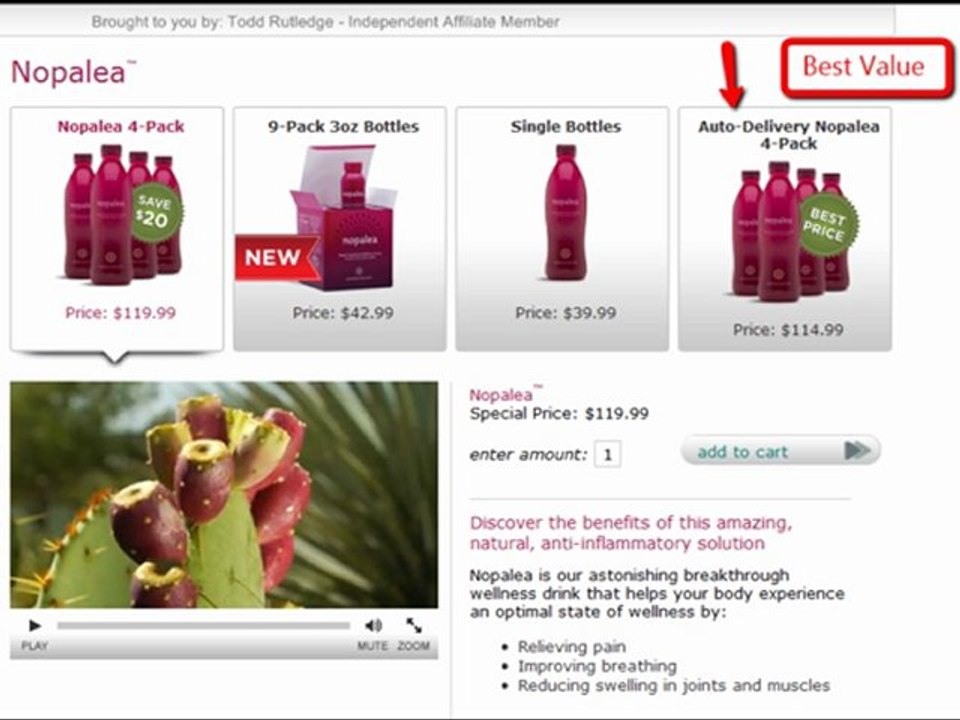 Where Can I Buy Nopalea