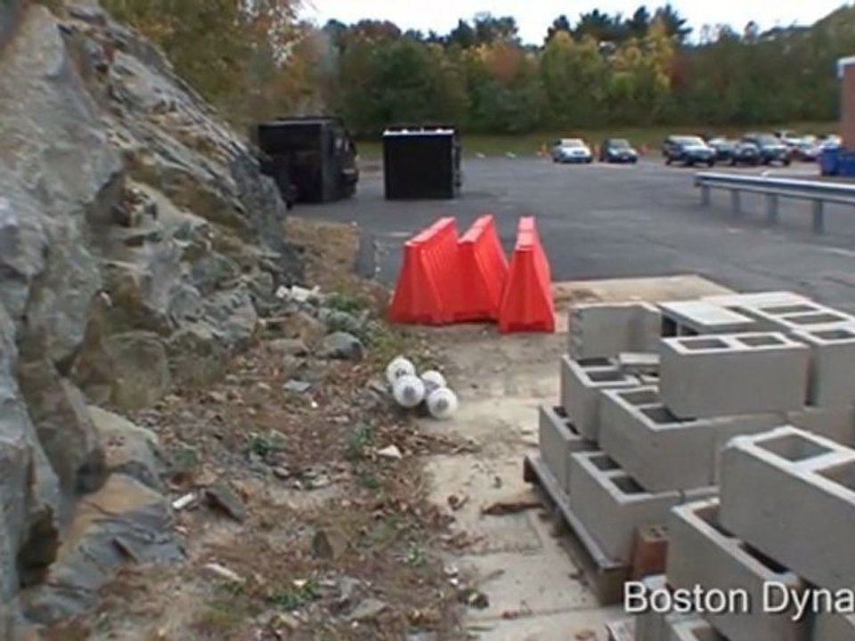 Sand Flea Jumping Robot