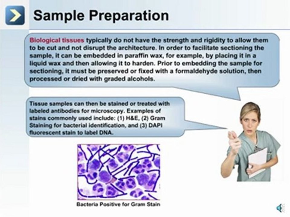 Tissues of the Human Body - What is Histology?