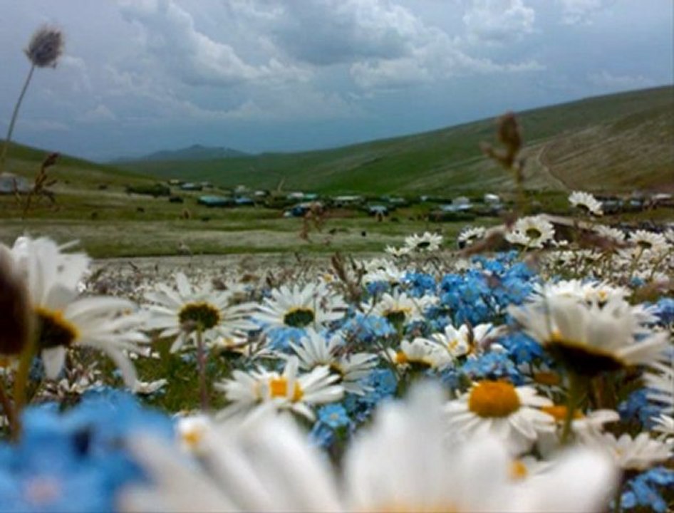 SEN BU YAYLAYI YAYLIYAMAZSIN