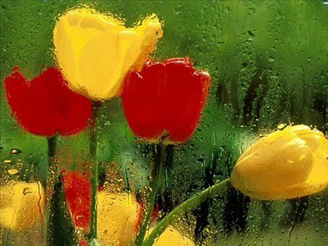 Aşık VEYSEL ÇİĞDEM DERKİ BEN ALAYIM