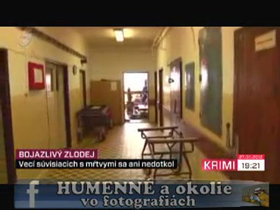 Bojazlivy zlodej