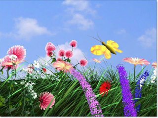 Zara Baharda Kuşlar Gibi.