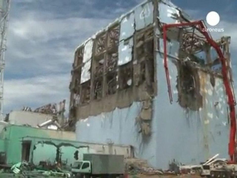 Latest Fukushima probe appals experts