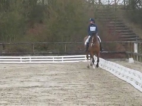 Dressage CCE Club Elite BOVES