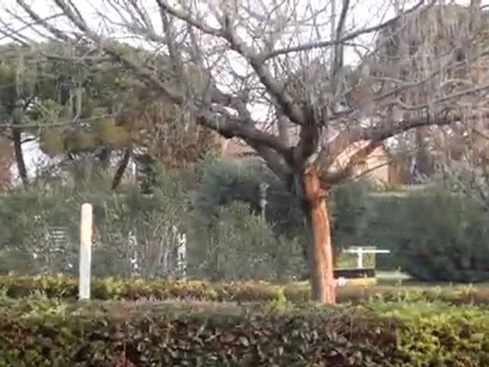 Cycle libre 4ans UZES 03 2012