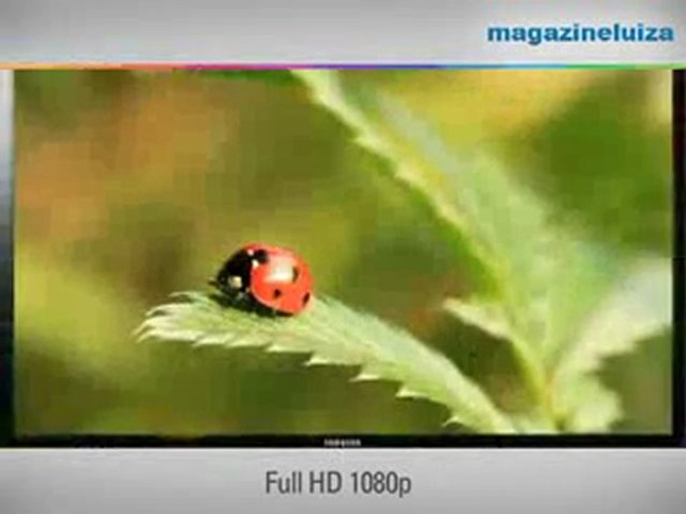 Samsung UN55D6000 55-Inch 1080p 120Hz LED HDTV Black Review | Samsung UN55D6000 55-Inch For Sale