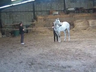 26.03.2012.d.sing.flexions