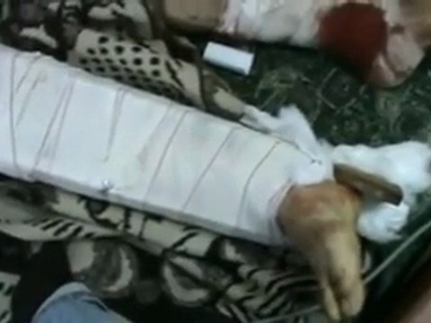 فري برس حمص القصير الشهيد محمد مصطفى عيوش 27 3 2012