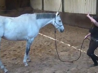 26.03.2012.g.sing.sauter