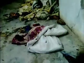 فري برس حماة المحتلة  الدمار في قرية خنيزير 27 3 2012 ج2