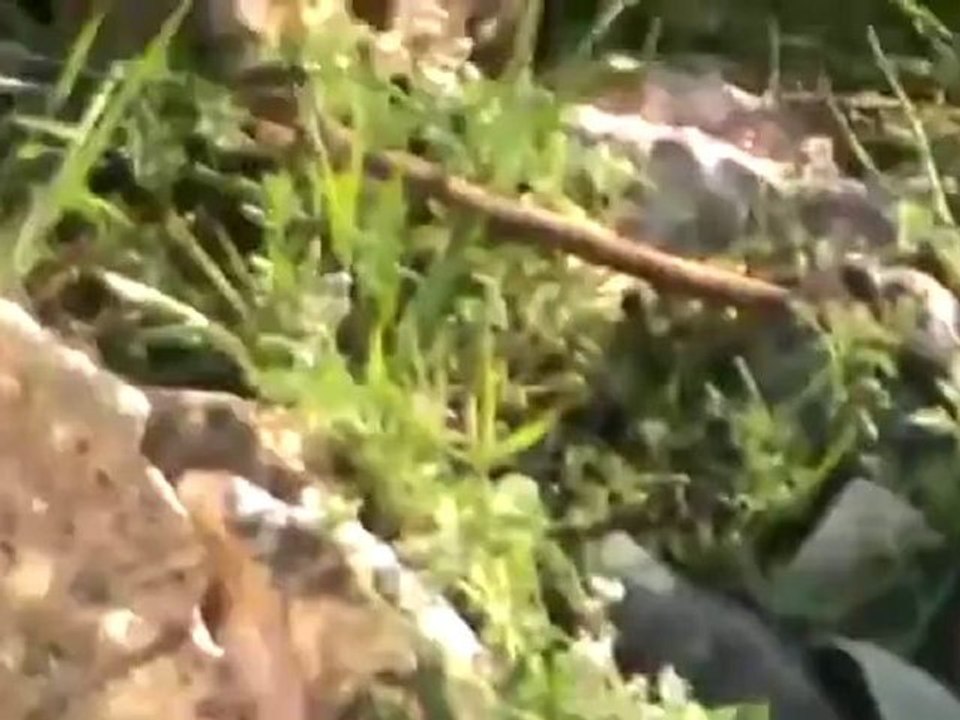 فري برس ادلب من وسائل الإجرام الأسدي في قرية دير سنبل بجبل الزاوية ـ إستخدام الشيلكا ال23 5  م ط لضرب الأهالي 27 3 2012