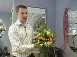 Nouveaux profils d'Artisans