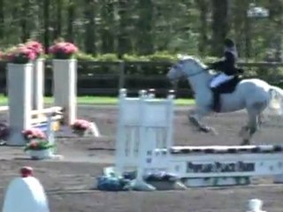 Grey Goose - Poplar 3.24.12