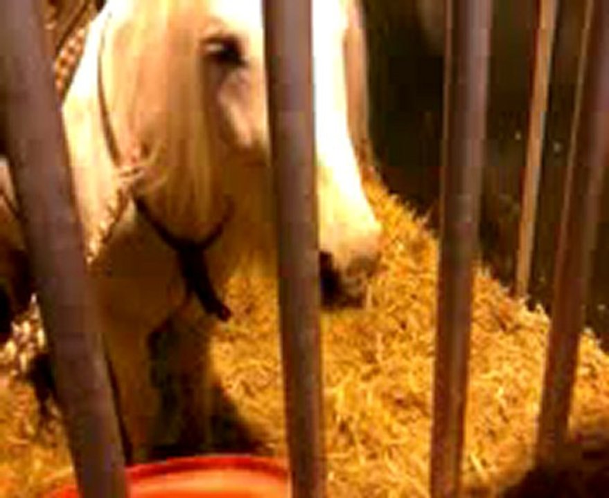 Vidéo0009