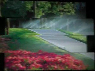 Sisteme de Irigatii - Sisteme de Irigatii Gazon