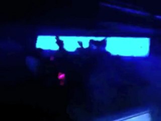 Dj LLT drops Roc Hounds Club Edit of Chris Brown's "Turn Up The Music" Live @ Club BarBee