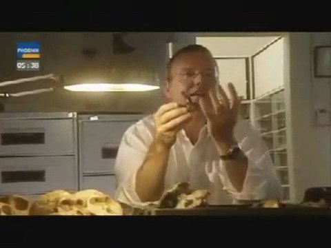 PHOENIX Odyssee des Menschen I Es begann in Afrika 3 5 Doku
