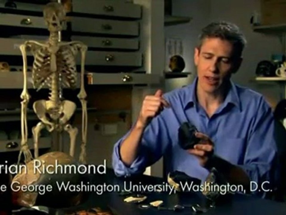 Die Anfänge der Menschheit (3_12)