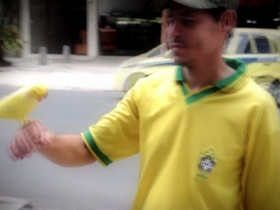 I Represent (Brasil)