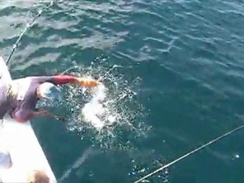 Destin Charter Fishing Boats