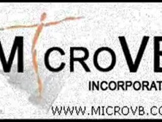 Scripting Language Business